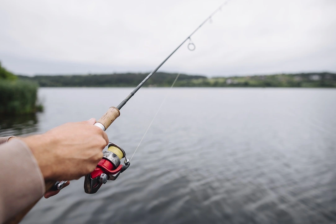 Uma pessoa aponta uma vara de pesca em direção a um lago