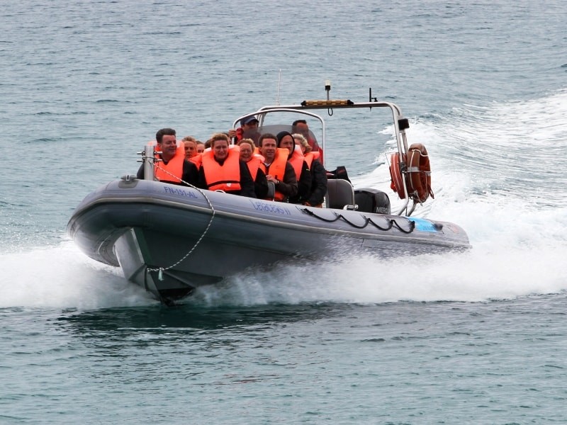 barcos semi rigidos
