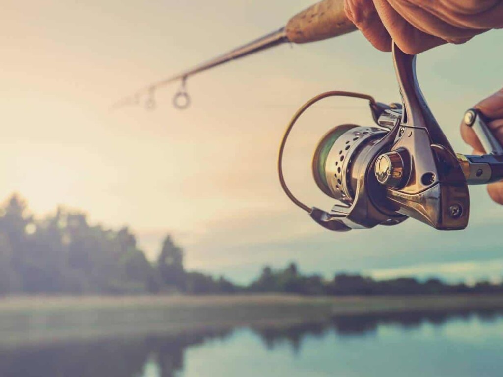 Vara de pesca