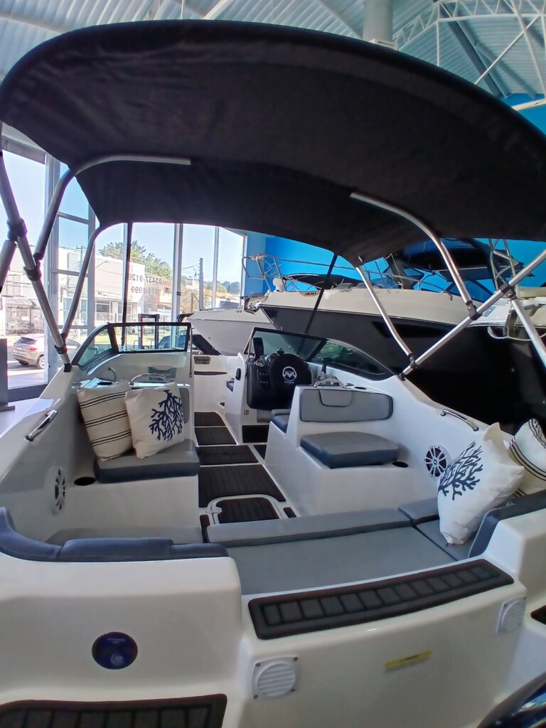 Focker Joy 188 - 2024 - Motor Mercury