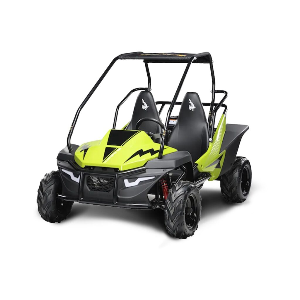 Buggy Fun Motors MudHead SE