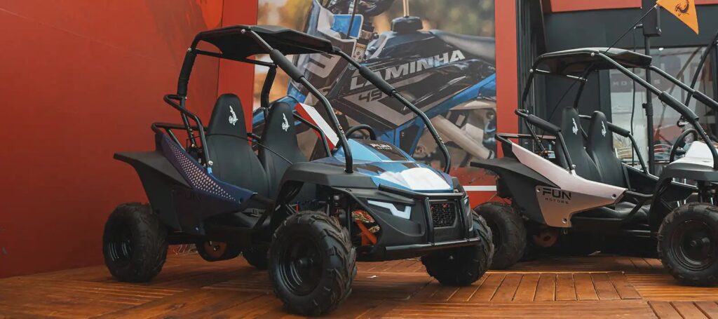 Buggy Fun Motors MudHead SE — foto 10