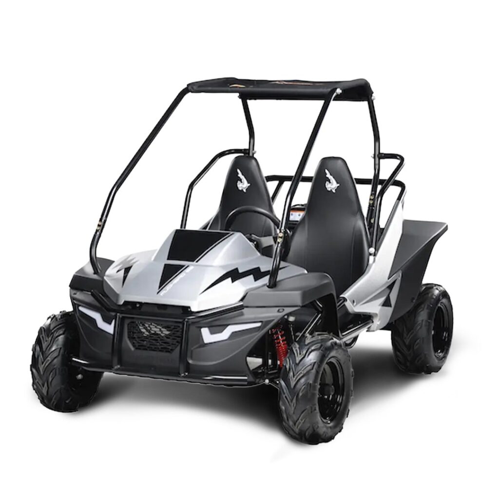 Buggy Fun Motors MudHead SE — foto 3