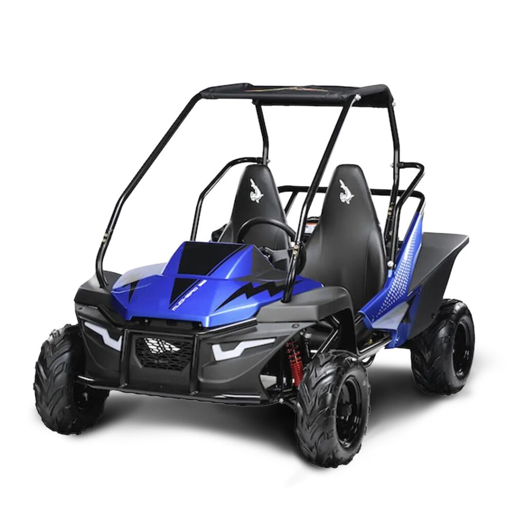Buggy Fun Motors MudHead SE — foto 4