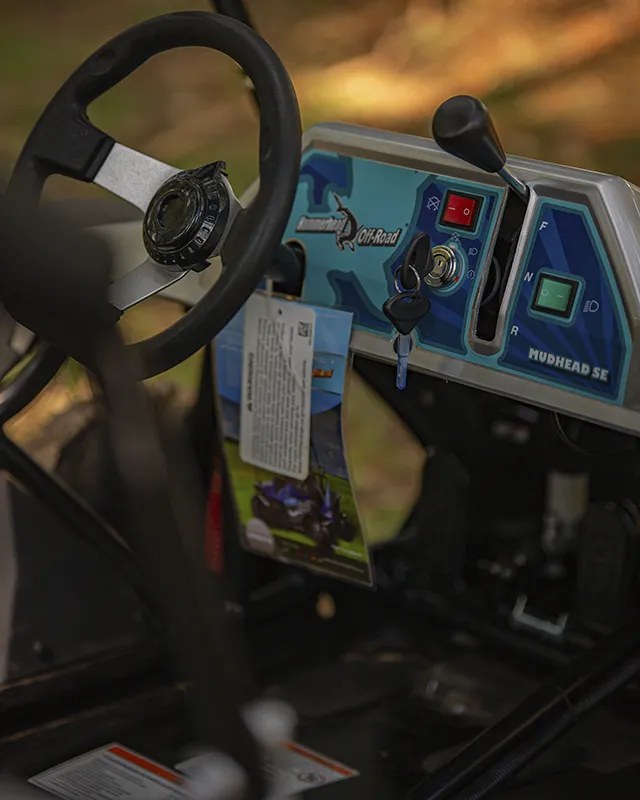 Buggy Fun Motors MudHead SE — foto 5