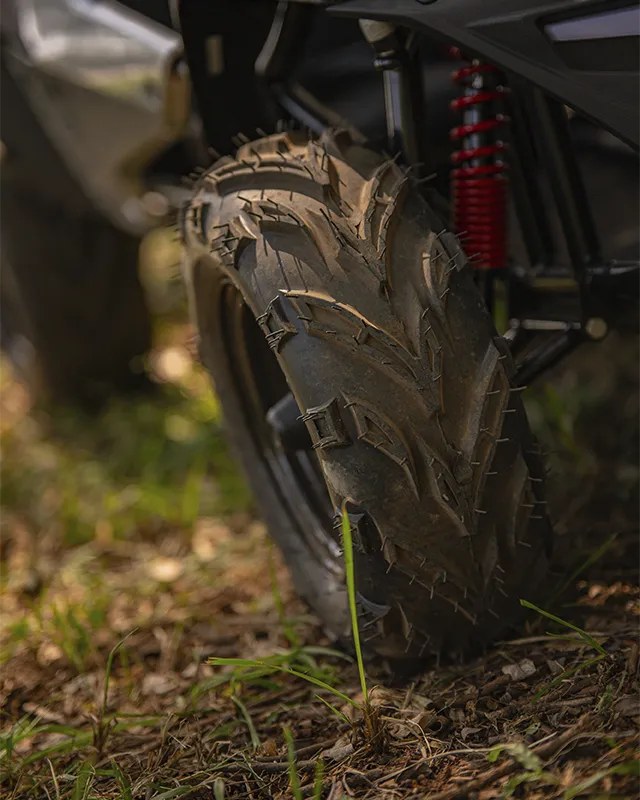 Buggy Fun Motors MudHead SE — foto 7