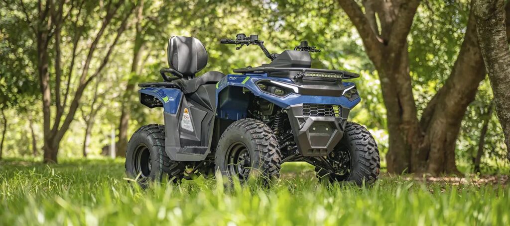 Quadriciclo Fun Motors Dakar 250 — foto 11