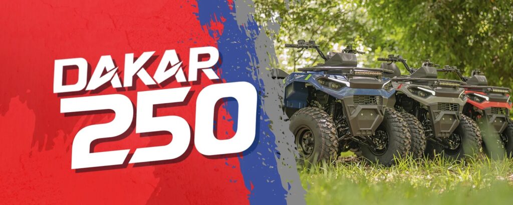 Quadriciclo Fun Motors Dakar 250 — foto 12