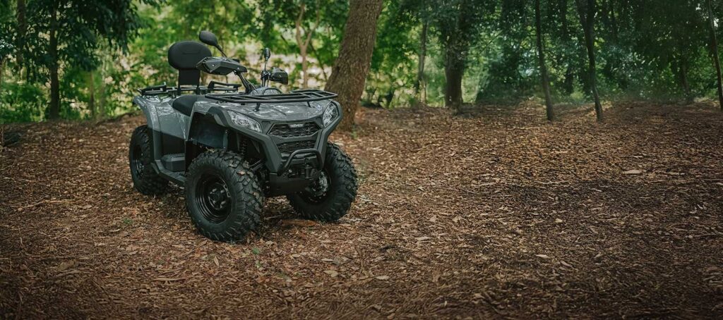 Quadriciclo GOES Terrox 400L — foto 11